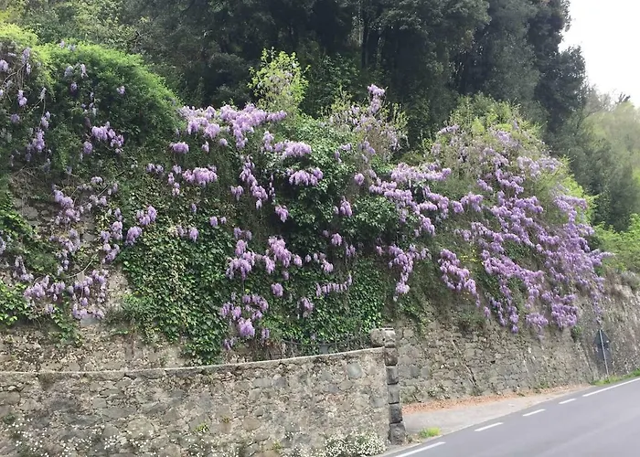 Διαμέρισμα La Piccola Oasi Toscana *